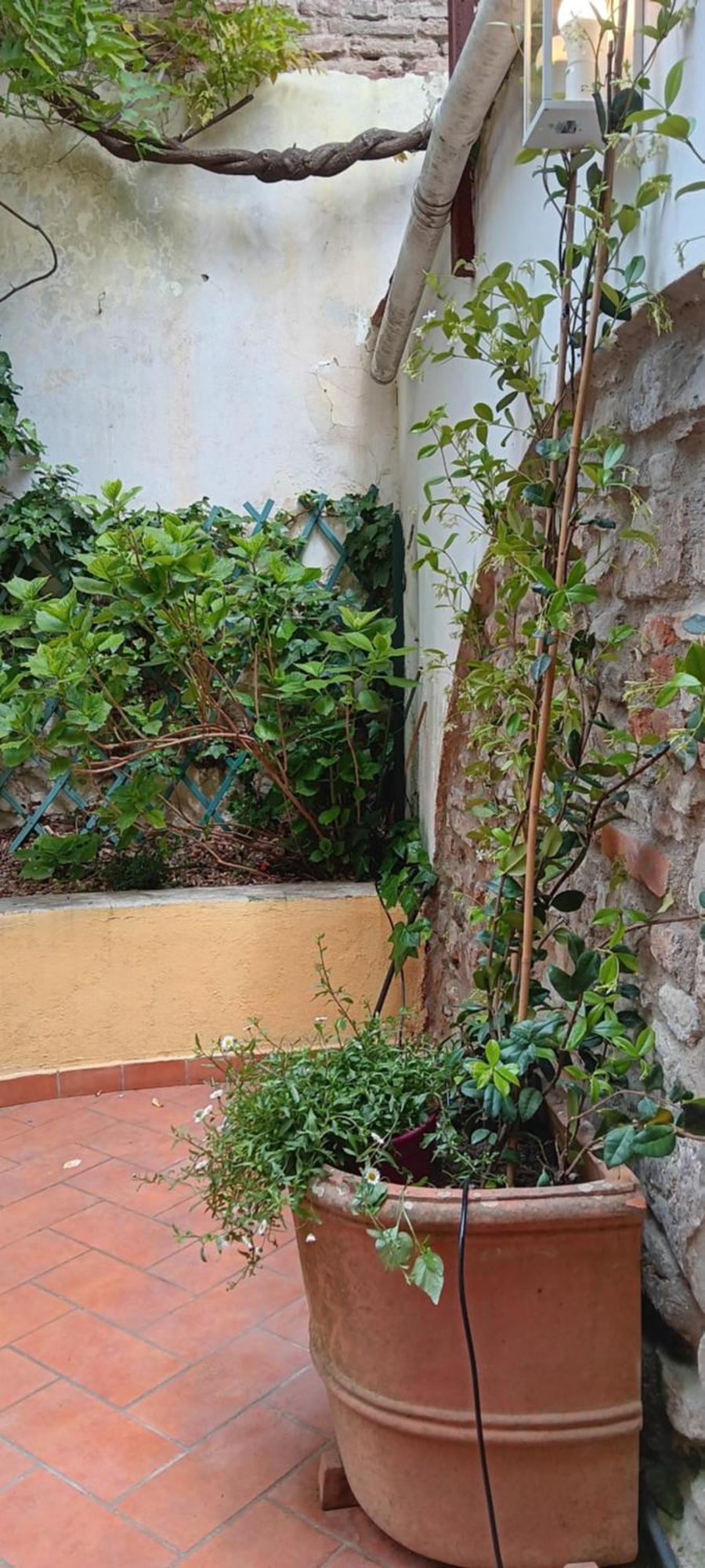 Apartamento Casa Il Patio Florencia