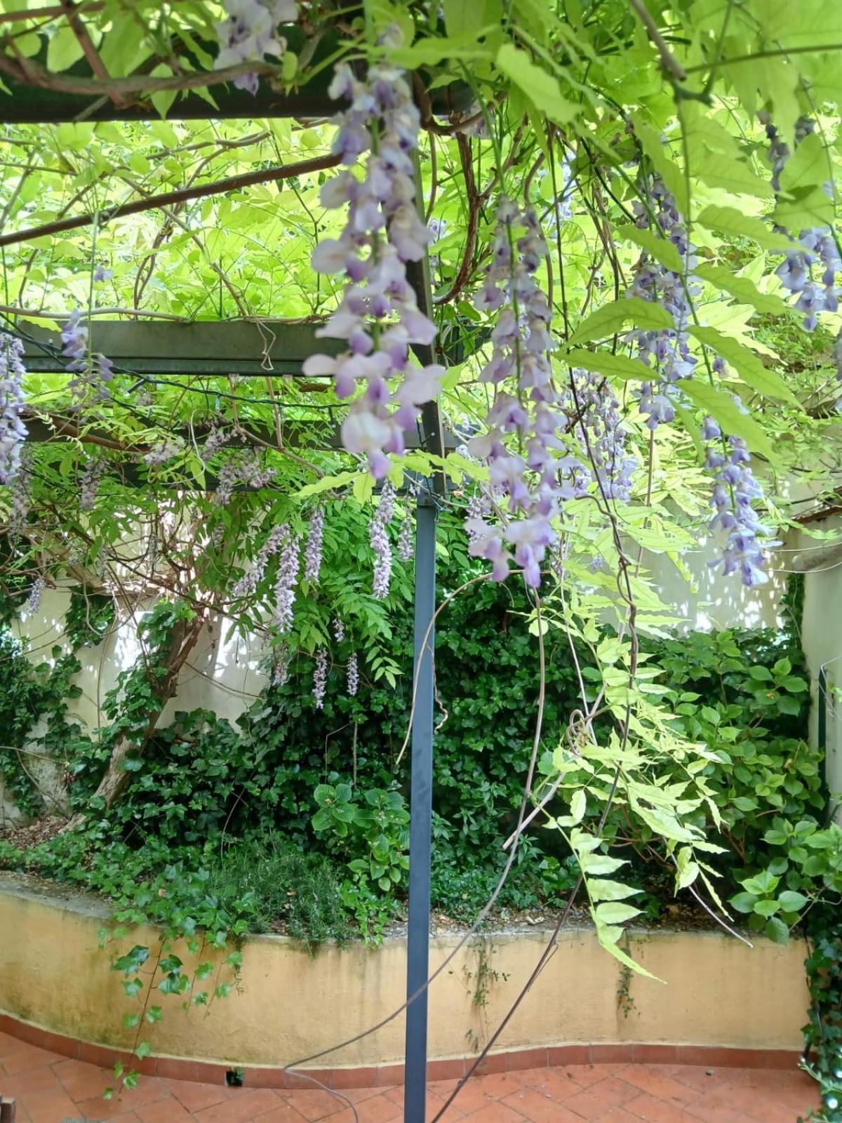 Apartamento Casa Il Patio