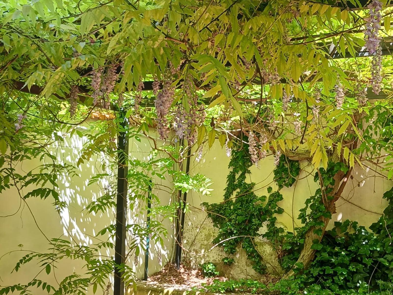 Apartamento Casa Il Patio Florencia